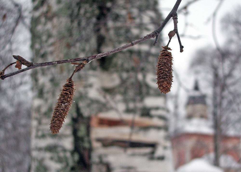 2006-01-05 Kirillov-1